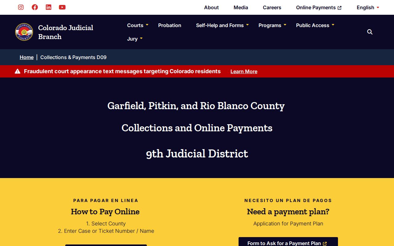 Official 9th Judicial District payment and collections information for Pitkin County